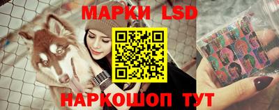 PSILOCYBIN Ефремов